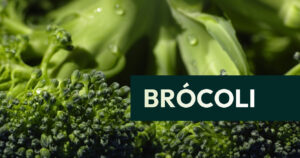 Brocoli